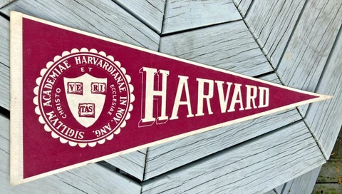 Vintage 30" Harvard University Pennant Felt Bright Color Rare Cover