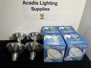 ⚡️Lot of 4⚡️ PQL Display 75PAR30 Narrow Flood 130v Medium Base 4000hr - Picture 1 of 5