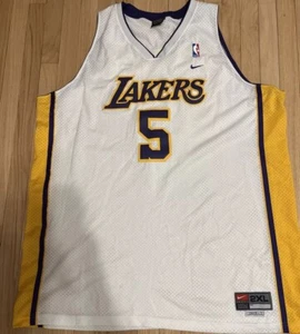 Vintage Nike Los Angeles Lakers Robert Horry Swingman Jersey XXL NBA - Picture 1 of 10