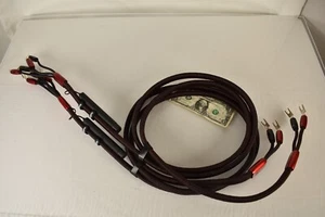 AudioQuest Comet Bi-Wire Speaker Cables; 8ft Pair (Spades and Spades) - Picture 1 of 9