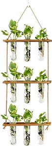 Wall Hanging Propagation Station with Wooden Stand Glass Test Tubes Tiered Plant - Picture 1 of 6
