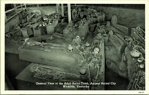 Tumba funeraria adulta antigua ciudad enterrada hombre prehistórico Wicklffe Kentucky postal - Imagen 1 de 2