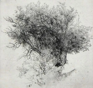 OSKAR STÖSSEL - Weidenstrauch - Radierung - um 1910 - Picture 1 of 2