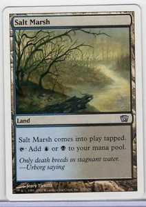 1x Salt Marsh - MTG Core Set 8th Edition - Near Mint - Foto 1 di 1