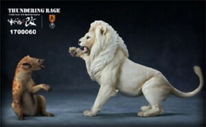 Nanmu Posągi zwierząt 1/12 Model Thundering Rage African Lion VS Hiena plamista