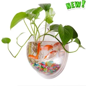 Wall Hanging Fish Bowl Acrylic Vase Flower Plant Wall Mounted Hanging  Decor - Picture 1 of 6