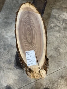 Black Walnut Cookie Slab #2373, Live Edge Slab, unvollendet, kostenloser Versand - Bild 1 von 4