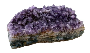 2 4/5 x 2 1/10 Zoll brasilianischer Amethyst Kristall Cluster Drusen Exemplar CS430OTH - Bild 1 von 2