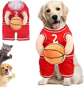 NUEVO S Disfraz de Baloncesto para Perro con Pelota Correas Ajustables Halloween Jersey Perros - Imagen 1 de 10