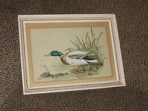 VINTAGE AQUARELL GEMÄLDE KÜNSTLER VON AINTREE ENGLAND STOCKENTE - Bild 1 von 7