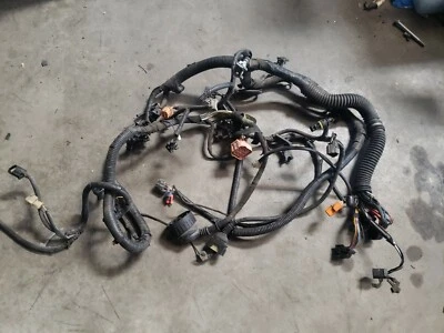 Land Rover Discovery V8 1999-2000-2001-2002 arnés de cables motor 4,0 L Foto 1 de 2