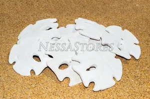 Dólar de arena blanco punta de flecha real caparazón de mar artesanal bodas 3"- 4" (10 piezas) #JC-59 - Imagen 1 de 4