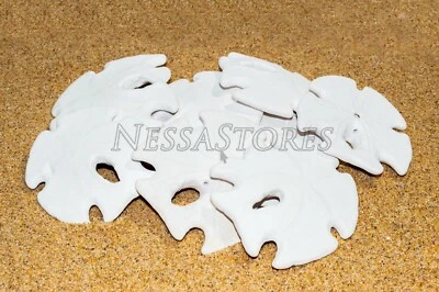 White Real Arrowhead Sand Dollar Sea Shell Craft Weddings 3"- 4" (10 pcs)#JC-059 - Image 1 of 4