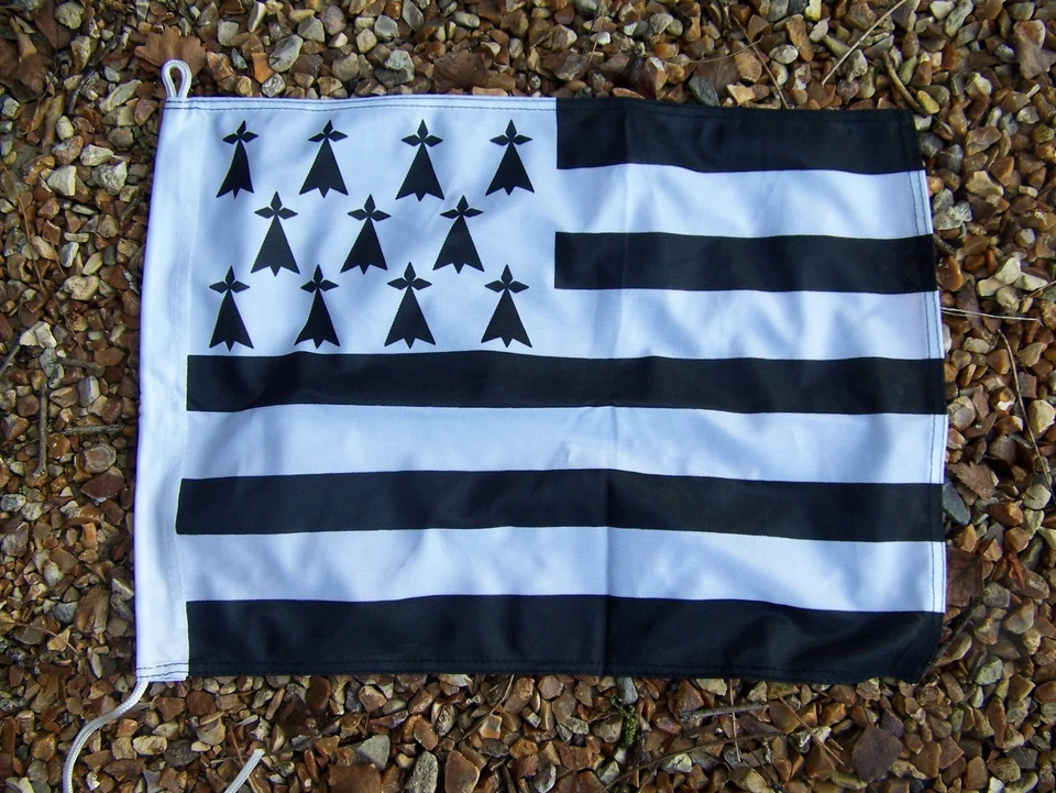 DRA038  PETIT  DRAPEAU BRETAGNE   30 X40 CM   NEUF GWENN  LIEN BATEAUX ST MALO - Photo 1/1