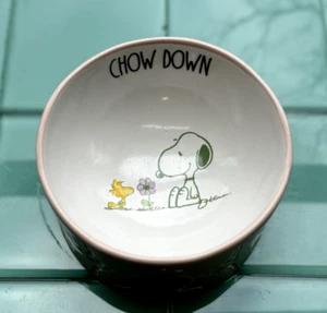 NUEVO tazón 2024 Rae Dunn X Cacacahuetes ""CHOW DOWN"" ya sea para perro o gatos - Imagen 1 de 2