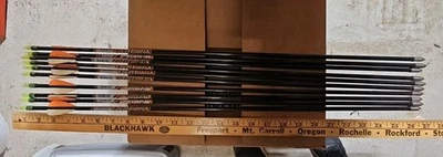 10 - ALLEN 26 英寸数量 - 10 Rein 青春箭 阅读需要翻新 — 第 1/4 张图片