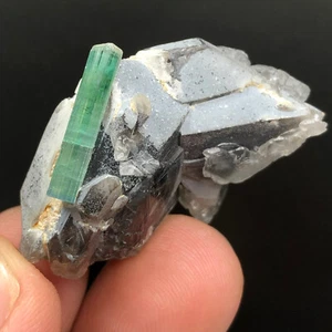 108 Cts Awesome Quality Beautiful Natural Color Tourmaline Crystal With Quartz - Picture 1 of 8