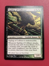 *** Sapling of Colfenor *** Eventide NM/LP MTG English