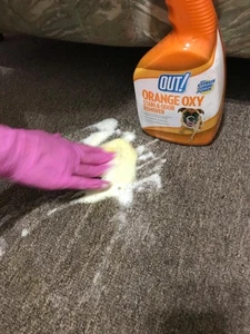 OUT! PetCare Orange Oxy Stain & Odor Remover Oxy Clean Pet Stain Odor Eliminate - Bild 1 von 12