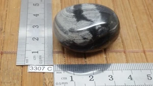 JASPE FEUILLE D'ARGENT pierre roulee TOP mineraux lithotherapie reiki collection - Picture 1 of 2