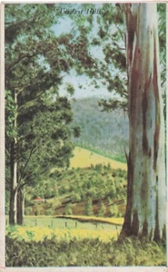 Postcard Early Australian Scene "Verdant Hills" - Bild 1 von 2