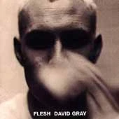 Flesh by David Gray (CD, Jul-2001, Caroline Distribution)