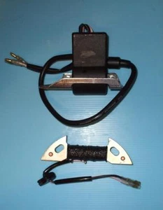 HONDA F420 MOTOCULTEUR CDI MODULE BOBINE D'ALLUMAGE, BOBINE D'EXCITER - Picture 1 of 4