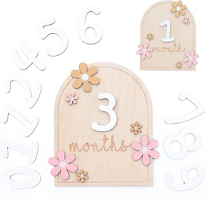 Baby Monthly Milestone Cards - Wooden Monthly Milestone Discs - Newborn Photogra - Picture 1 of 12
