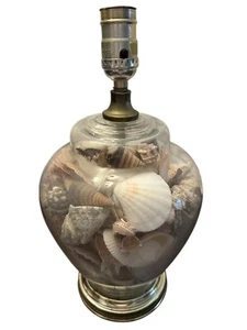 Vintage Seashell Filled Glass Table Lamp Beach Cottage Lake Coastal 14” - Picture 1 of 6