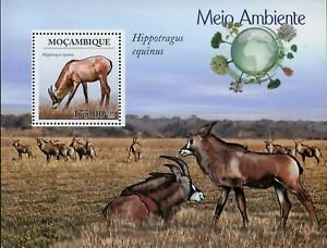 Antelope Stamp Hippotragus Equinus Wild Animal Souvenir Sheet MNH #3662 / Bl.316