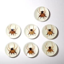 Insect Cabochon Spiny Spider Round 19 mm Glow in the Dark 50 Pieces Lot