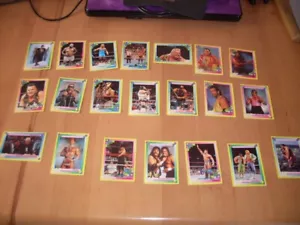 WWF World Wrestling Federation Merlin 1993 Trading Cards - Bild 1 von 3