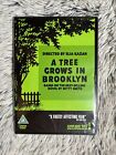 A Tree Grows In Brooklyn Dvd 1945 Dorothy Mcguire Elia Kazan New