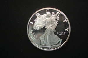 PLATA REDONDA FINA .999 1 LIBRA (12,04 ONZAS TROY) LIBERTY EE. UU. 1986 - Imagen 1 de 5