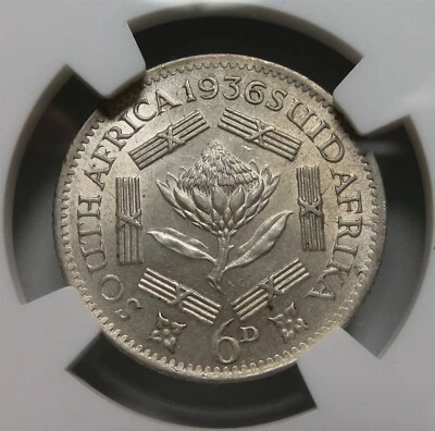 SOUTH AFRICA Britain 6 Pence 1936 NGC MS 62 UNC George Silver Protea flower 6D - Image 1 of 4