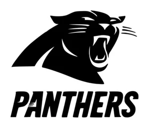 Calcomanía Carolina Panthers #1 5""x6"" elige el color - Imagen 1 de 2
