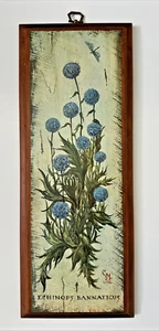 VINTAGE ECHINOPS BANNATICUS HANDGEMALT AUF HOLZ WANDRELIEF 16" x 6" SIGNIERT - Bild 1 von 12