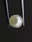 5 mm Round Shape Natural Saltwater Loose Pearl No Nucleus Certified Gem 0.87 Cts