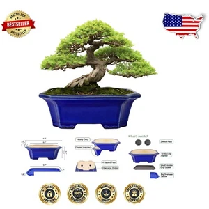 Stylish 10” Bonsai Plant Container with Raised Feet - Perfect for Succulents - Picture 1 of 9