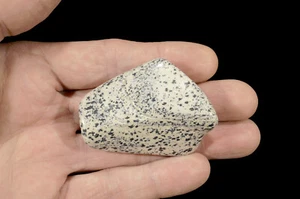 DALMATIAN JASPER 2 1/2" Tumbled Polished Rock Mineral Reiki Healing Crystal - Picture 1 of 2