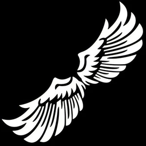 CAR HOOD FENDER WINDOWS MOTORCYCLE DECORATION DECALS STICKER SILVER WING - Imagen 1 de 1