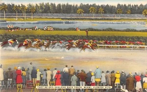 Cartolina di lino They're Off Hialeah Race Track Miami Florida - Foto 1 di 2