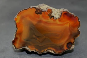 Condor agate collector specimen HK8 - Picture 1 of 4