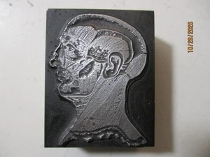 Printing Letterpress Printer Type Block Human Head w Visible Muscles Tendons - Picture 1 of 6