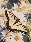 Silk Reflections "Butterfly Daisy" decorative 29 x 43 Summer floral house flag