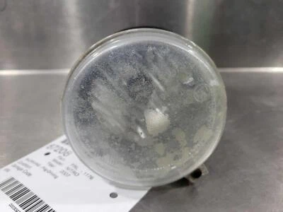 07 08 09 Lámpara delantera derecha Dodge Nitro Foto 1 de 2