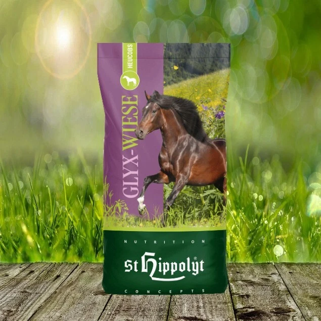 Glyx Wiese Heucobs 20 kg - Bild 1 von 1