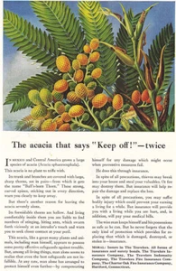 1946 Travelers Insurance: Acacia That Says Keep Off Twice Vintage Print Ad - Picture 1 of 1