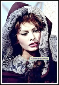 Sophia Loren, "ORIGINAL HAND SIGNED" Photograph - Imagen 1 de 1