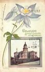 Vintage Postcard 1927 State Flower In Capitol Building State Landmark Colorado